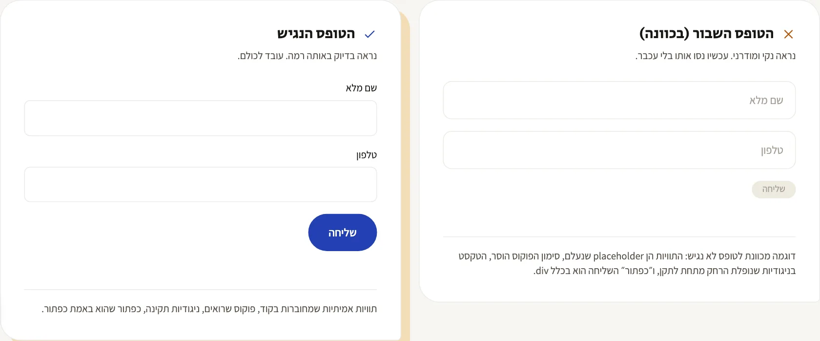 שני טפסים זהים למראה: שבור ונגיש — ההדגמה החיה בעמוד בדיקת הנגישות